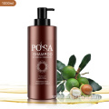 Argan Oil Hair Regrowth Sulfate Free shampoo